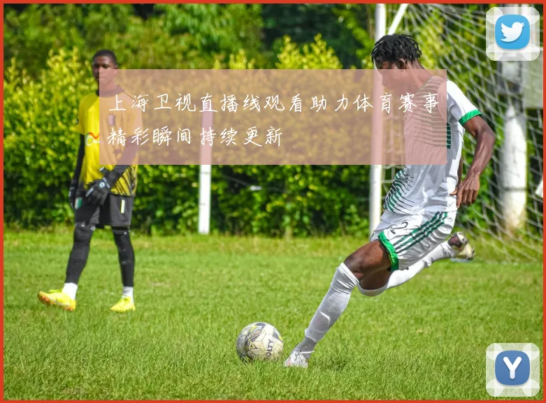 上海卫视直播线观看助力体育赛事精彩瞬间持续更新