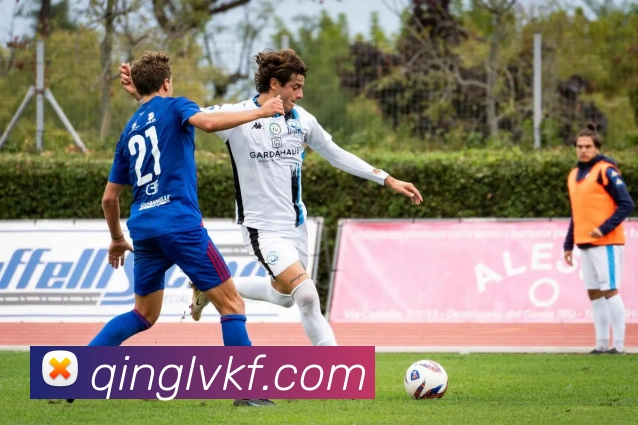 华体在线登录官网服务体系